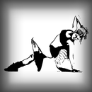 APK Ladies Fitness Videos