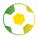 World Cup 2014 icône