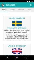 Swenglish poster