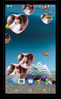 Bubble photo live wallpaper wi screenshot 1