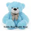 Teddy Bear Teddy Bear Kids Poem APK