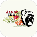 Jambo Fruit-APK