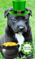 St Patricks Day Photo Stickers Affiche