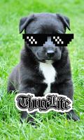 Thug Life Photo Sticker Maker Affiche