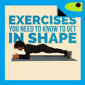 Fitness Exercises To Get Shape icon
