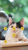 AppLock Theme Cat Affiche