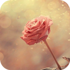 AppLock Theme Pink Love ícone