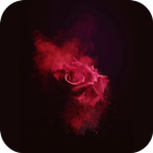 AppLock Theme Rose&Love 图标