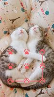 AppLock Theme Cute Cat পোস্টার