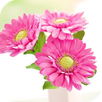 AppLock Theme Spring Blooming APK