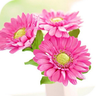 Frühling blüht für Applock Zeichen