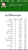 Islamic Names Dictionary Ekran Görüntüsü 2