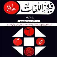 Urdu Dictionary XAPK 下載