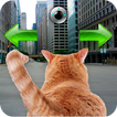 Cat In City Go Simulator