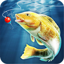 Herbst Angeln Echt Simulator APK