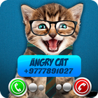 آیکون‌ Fake Call Video Cat Joke