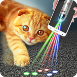 Laser 100 Beams for Cat Joke