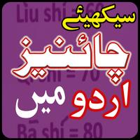 Learn Chinese Language in Urdu All Lessons โปสเตอร์