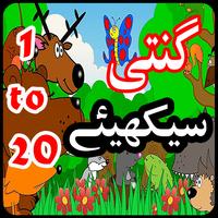 Learn Counting Numbers 123 plakat