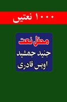 Mehfil-e-Naat of Owais Qadri & Junaid Jamshed স্ক্রিনশট 1