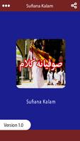 Video Collection of Sufiana Kalam & Sufi Songs تصوير الشاشة 2