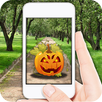 Pumpkin Go APK