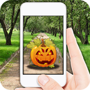 Pumpkin Go APK