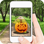 Pumpkin Go
