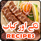Video Collection of Tikkay & Kabab Recipes icône