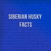 Siberian Husky Facts