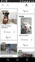Paws for a Cause NCR 스크린샷 3