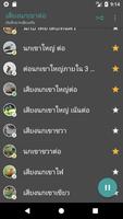 เสียงนกเขาต่อ syot layar 1