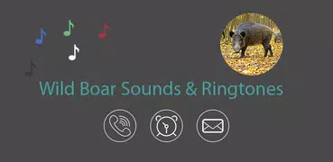 Appp.io - Wild Boar Звуки