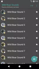 Descargar XAPK de Appp.io - Jabalí Sonidos