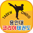 용인대코리아태권도 icono