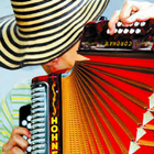 Musica Vallenata Gratis-vallenatos gratis آئیکن
