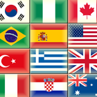 The flags of the world آئیکن