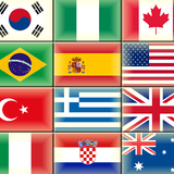The flags of the world أيقونة