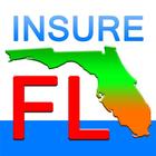 Tampa Auto Insurance icône