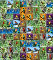 برنامه‌نما Birds Puzzle Games For Kids عکس از صفحه