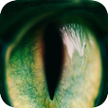 Live Filter Pack - Analog