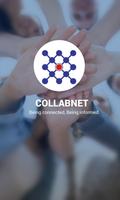 BizAPP CollabNet Affiche