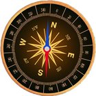 Compass PRO icono