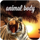 Animal Body APK