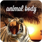 Animal Body 图标