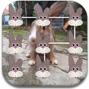 Bunny Pattern Lock Screen APK