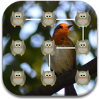 Bird Pattern Lock Screen icon