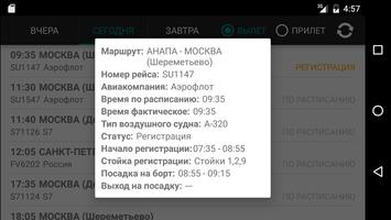 Аэропорт Анапа (Витязево) screenshot 1