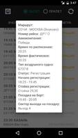 Аэропорт Сочи Plakat