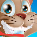 Brush Teeth to Cat